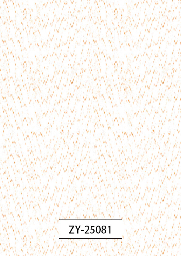 ZY-25081