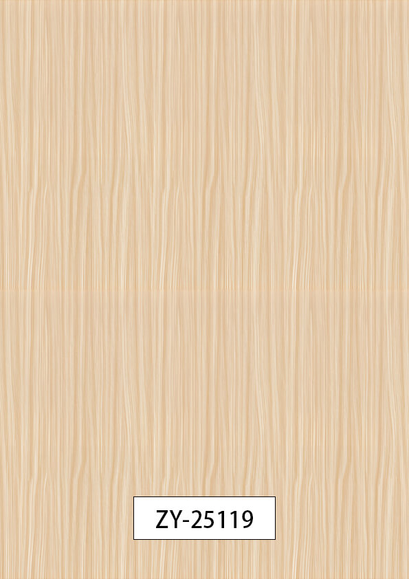 ZY-25119