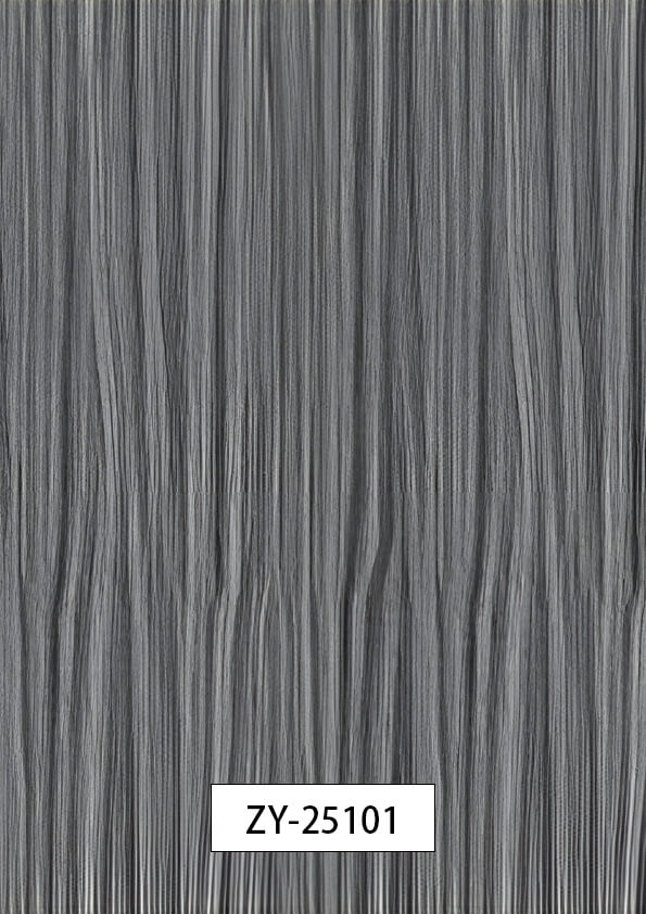 ZY-25101