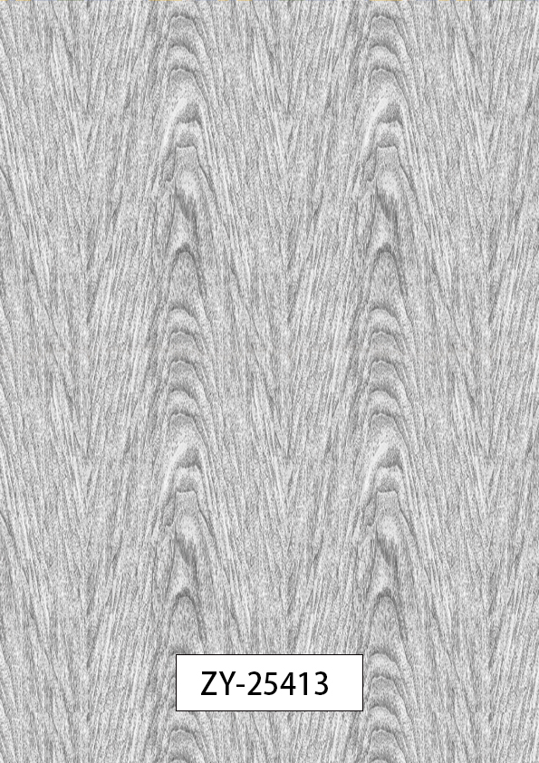 ZY-25413
