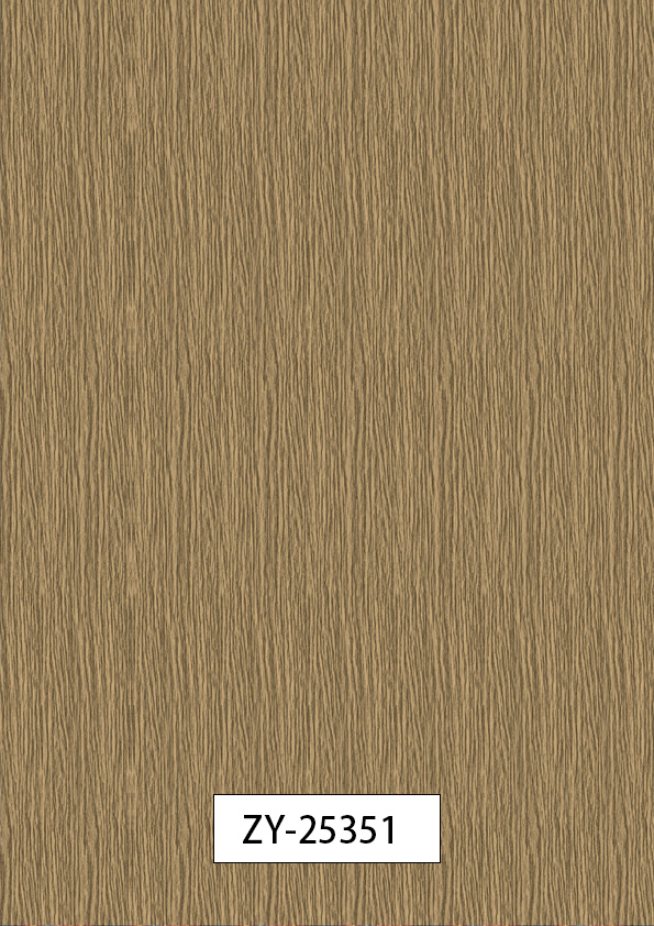 ZY-25351
