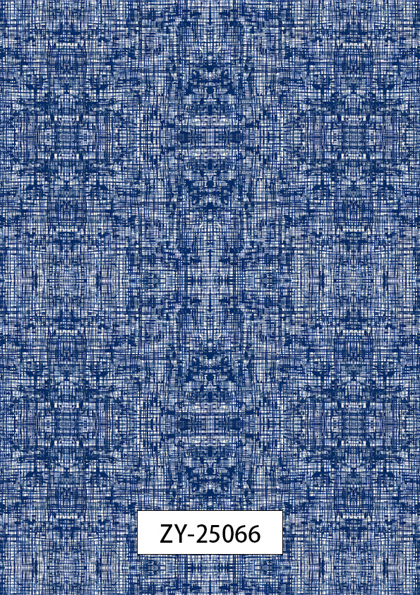 ZY-25066