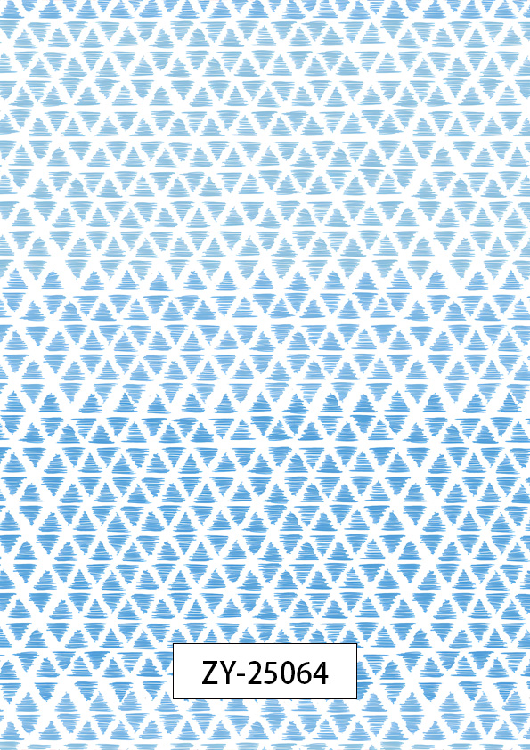 ZY-25064
