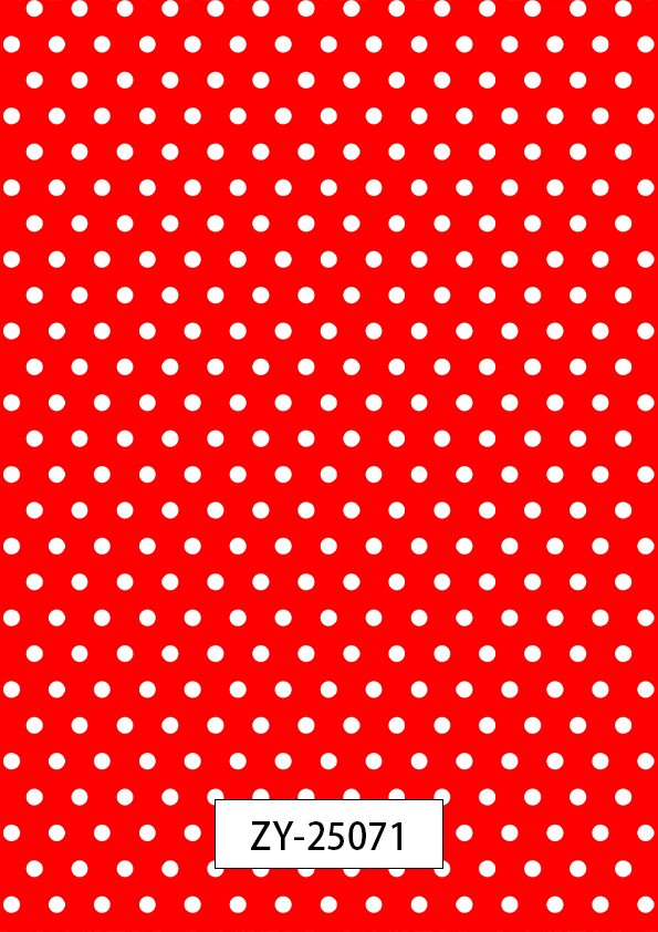 ZY-25071