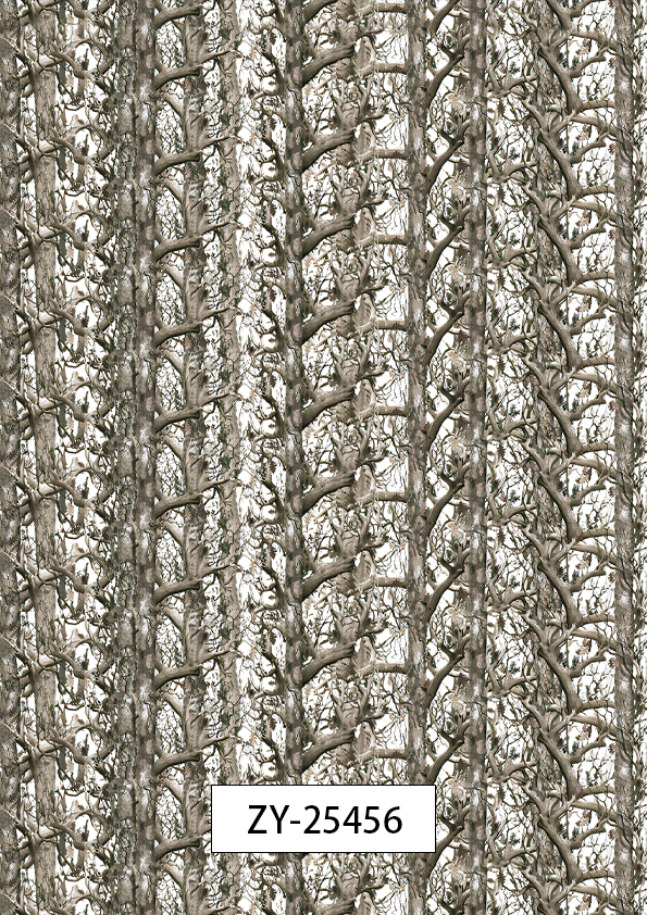 ZY-25456