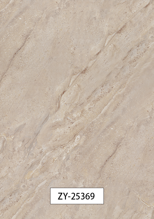 ZY-25369