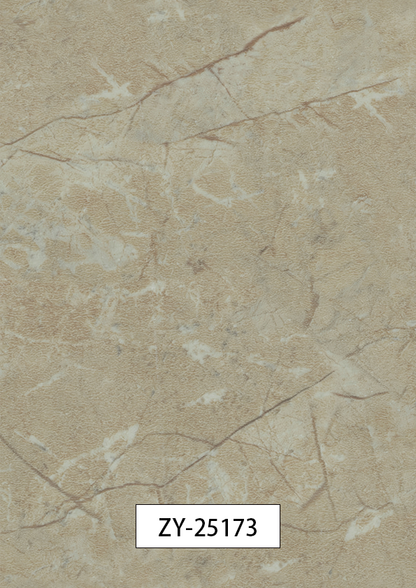 ZY-25173