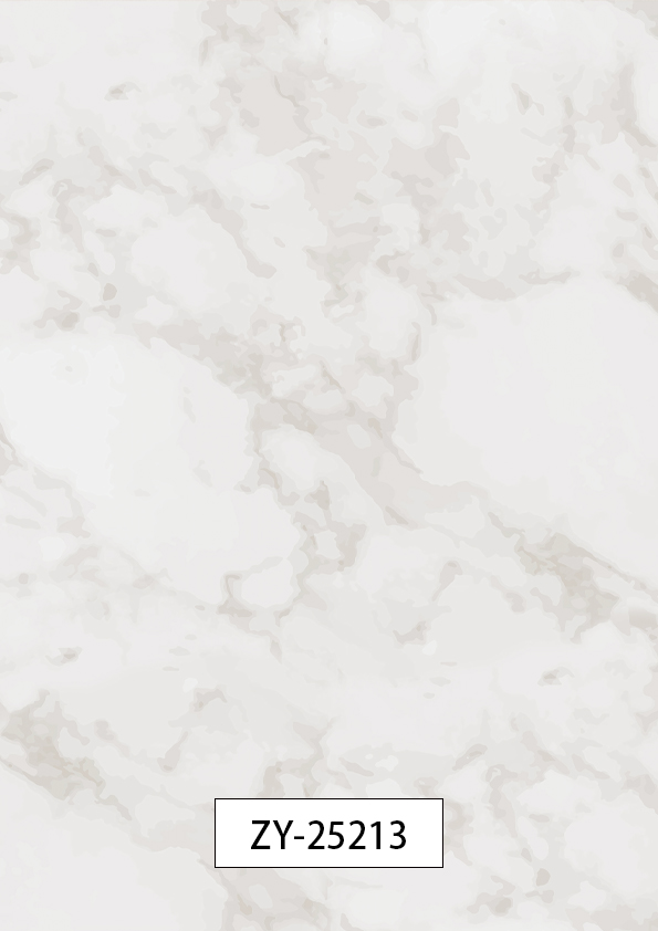 ZY-25213