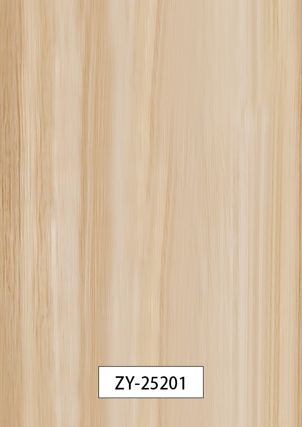 ZY-25201