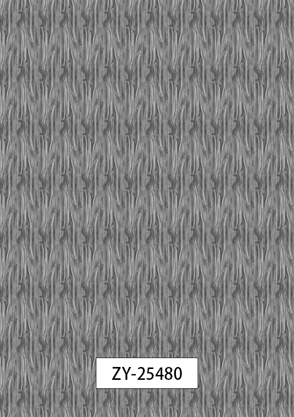 ZY-25480