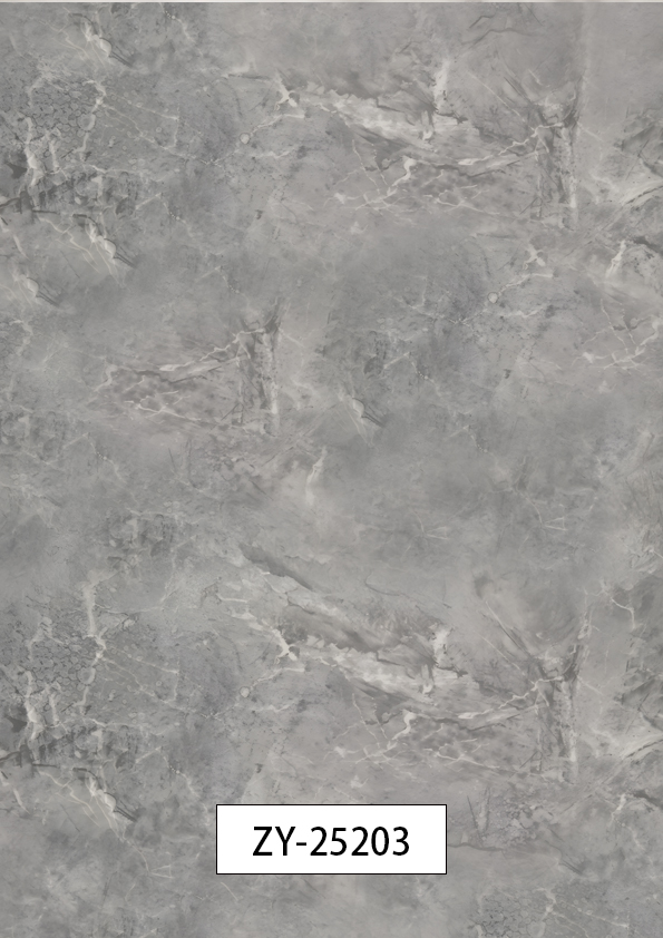 ZY-25203