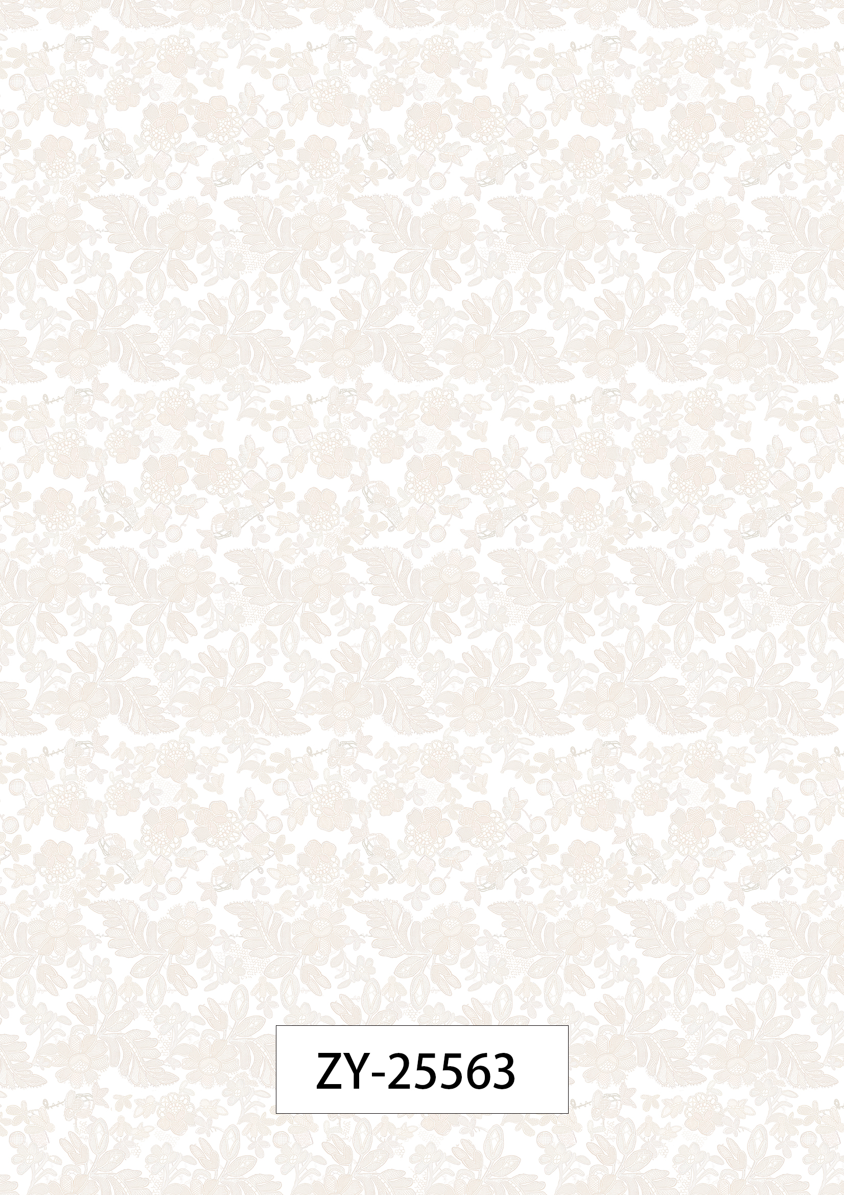 ZY-25563