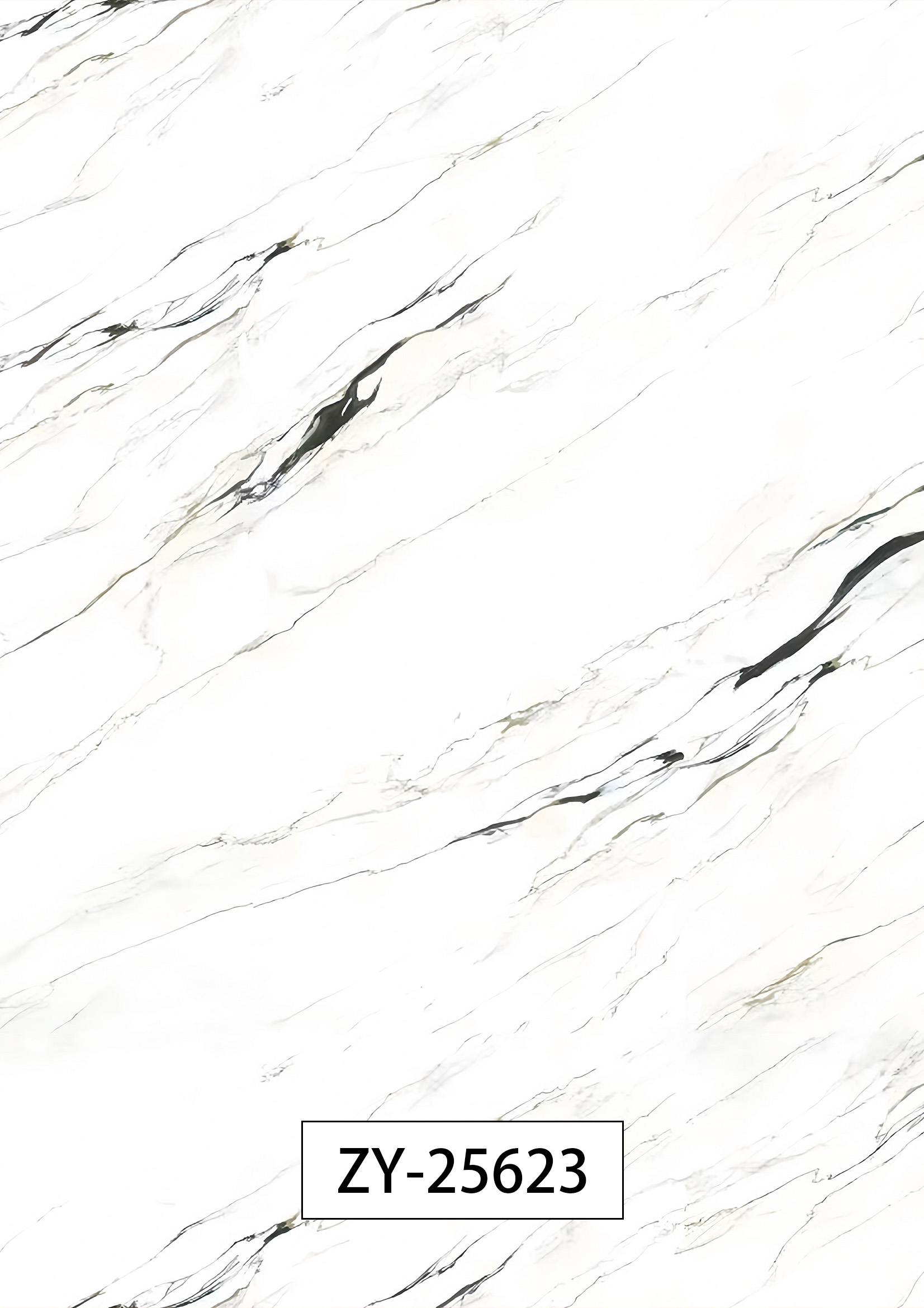 ZY-25623
