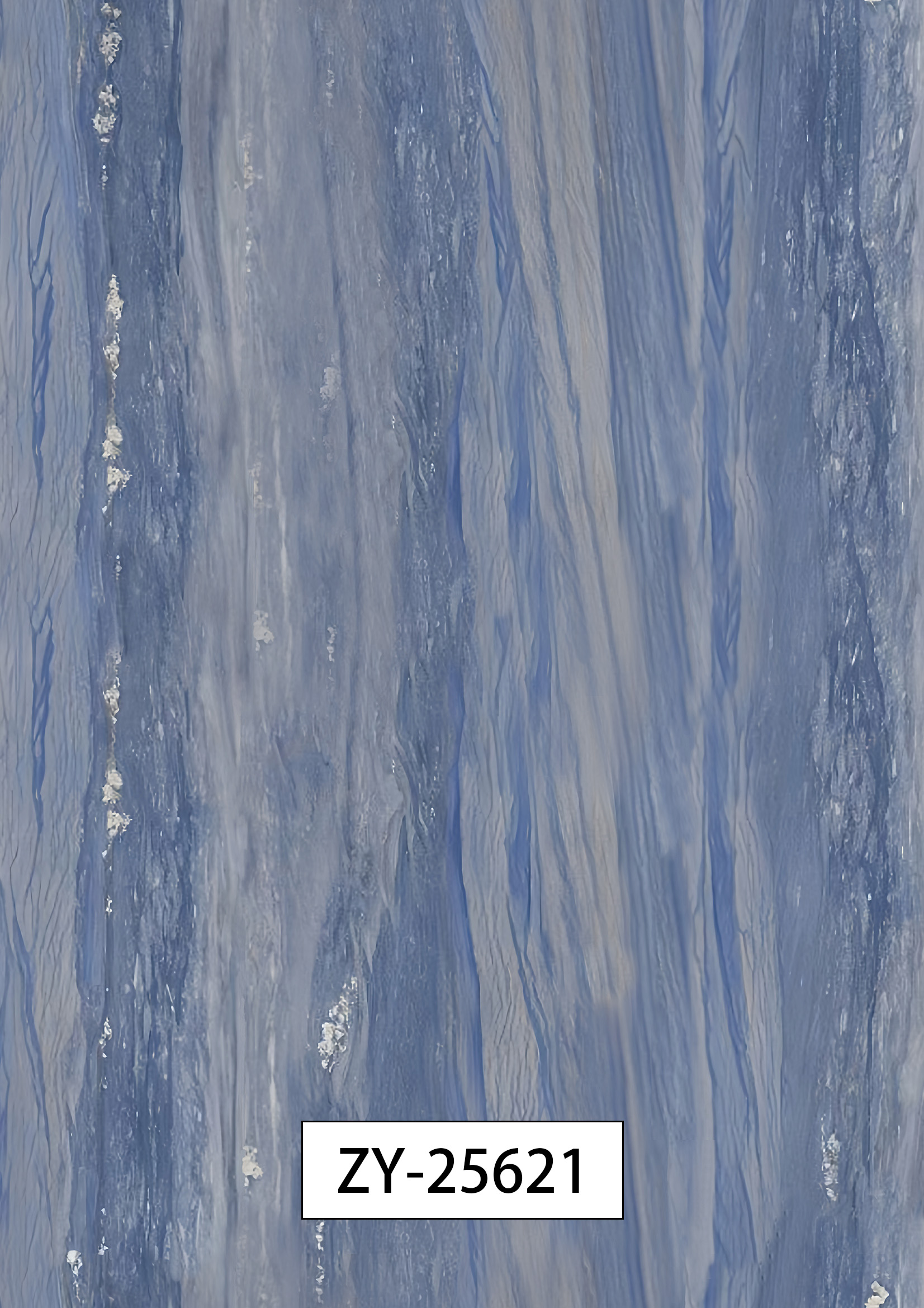 ZY-25621