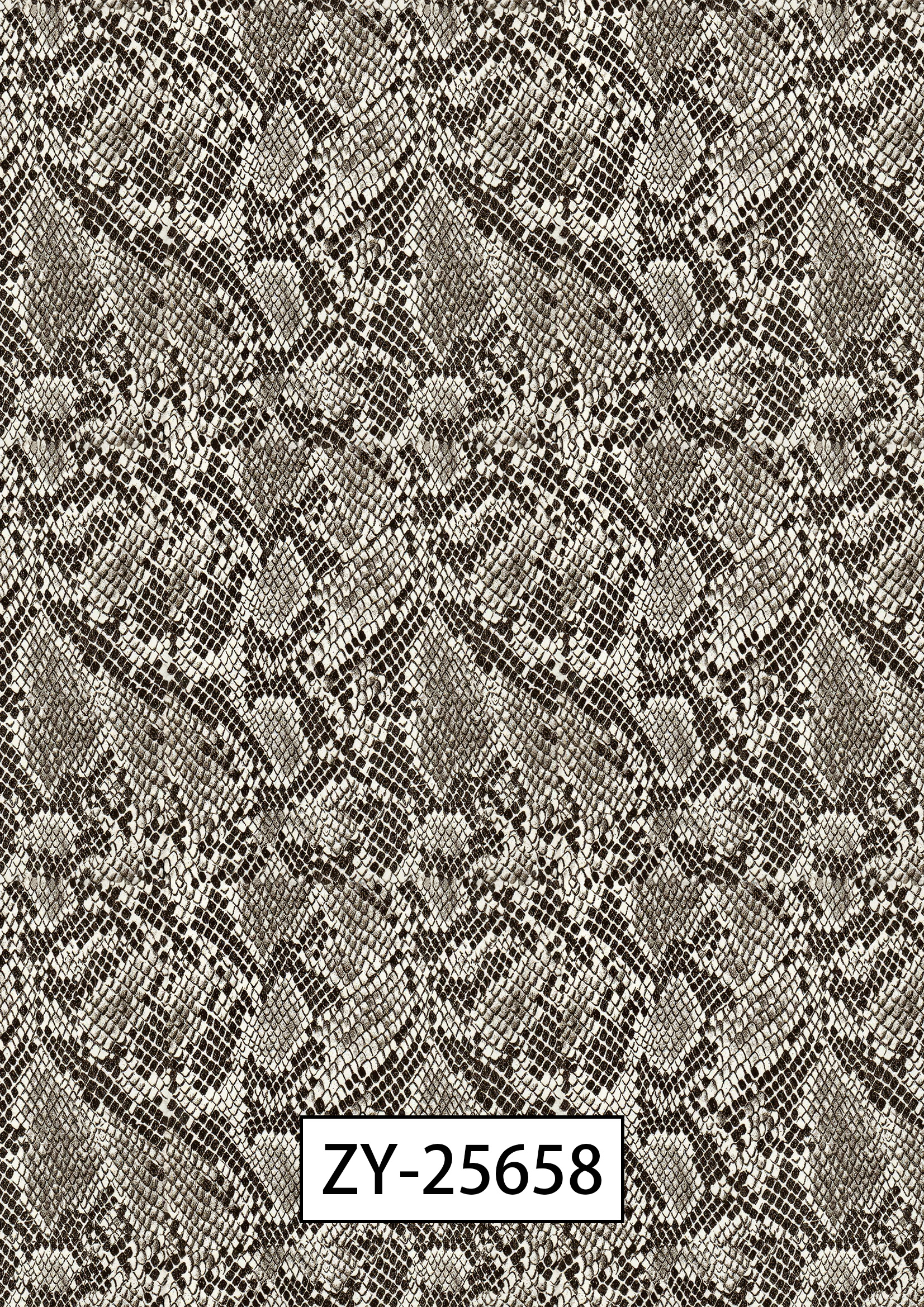ZY-25658