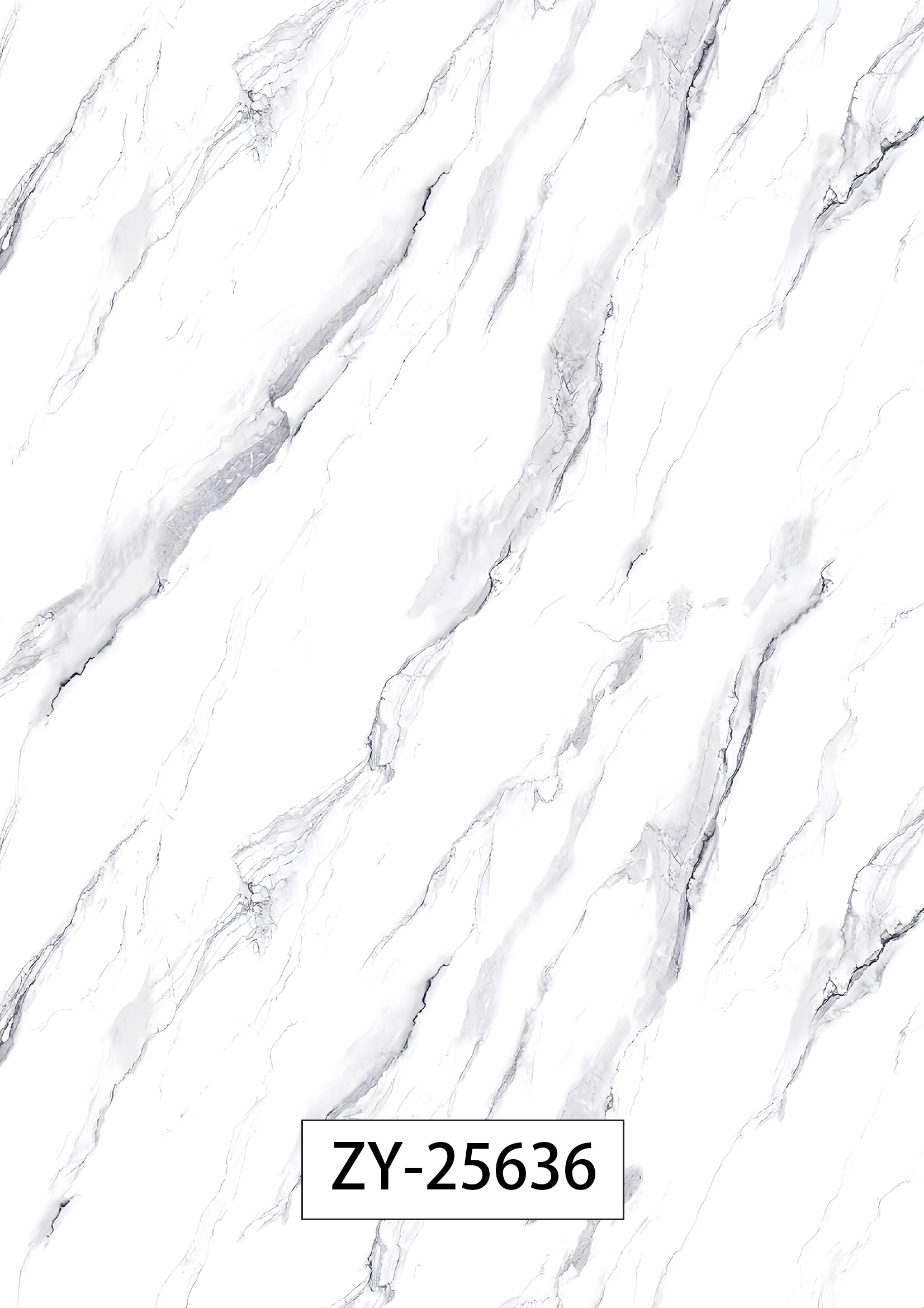 ZY-25636
