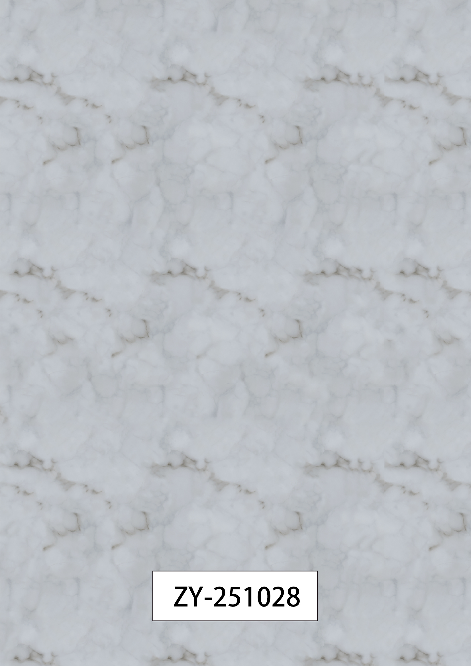 ZY-251028