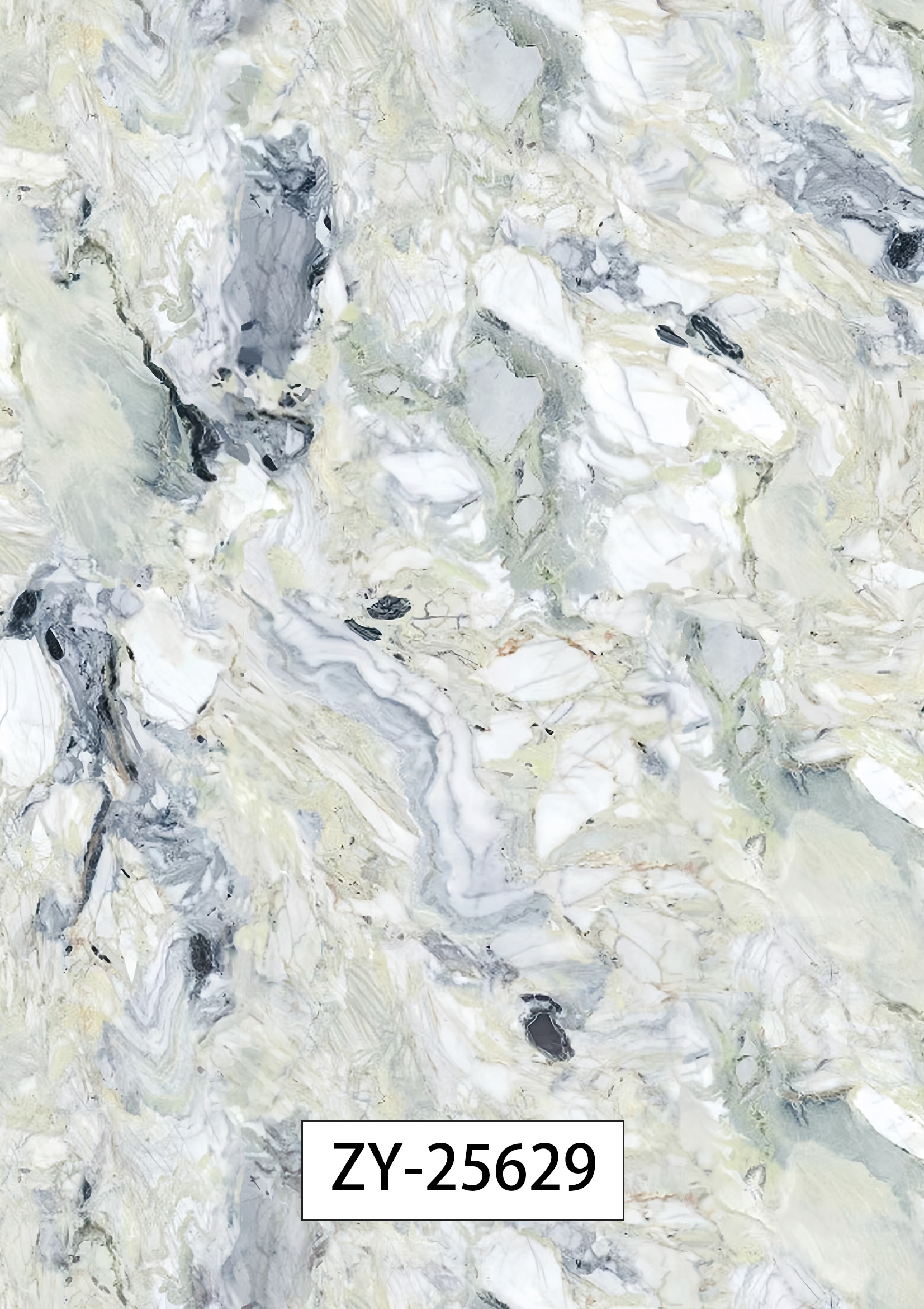 ZY-25629