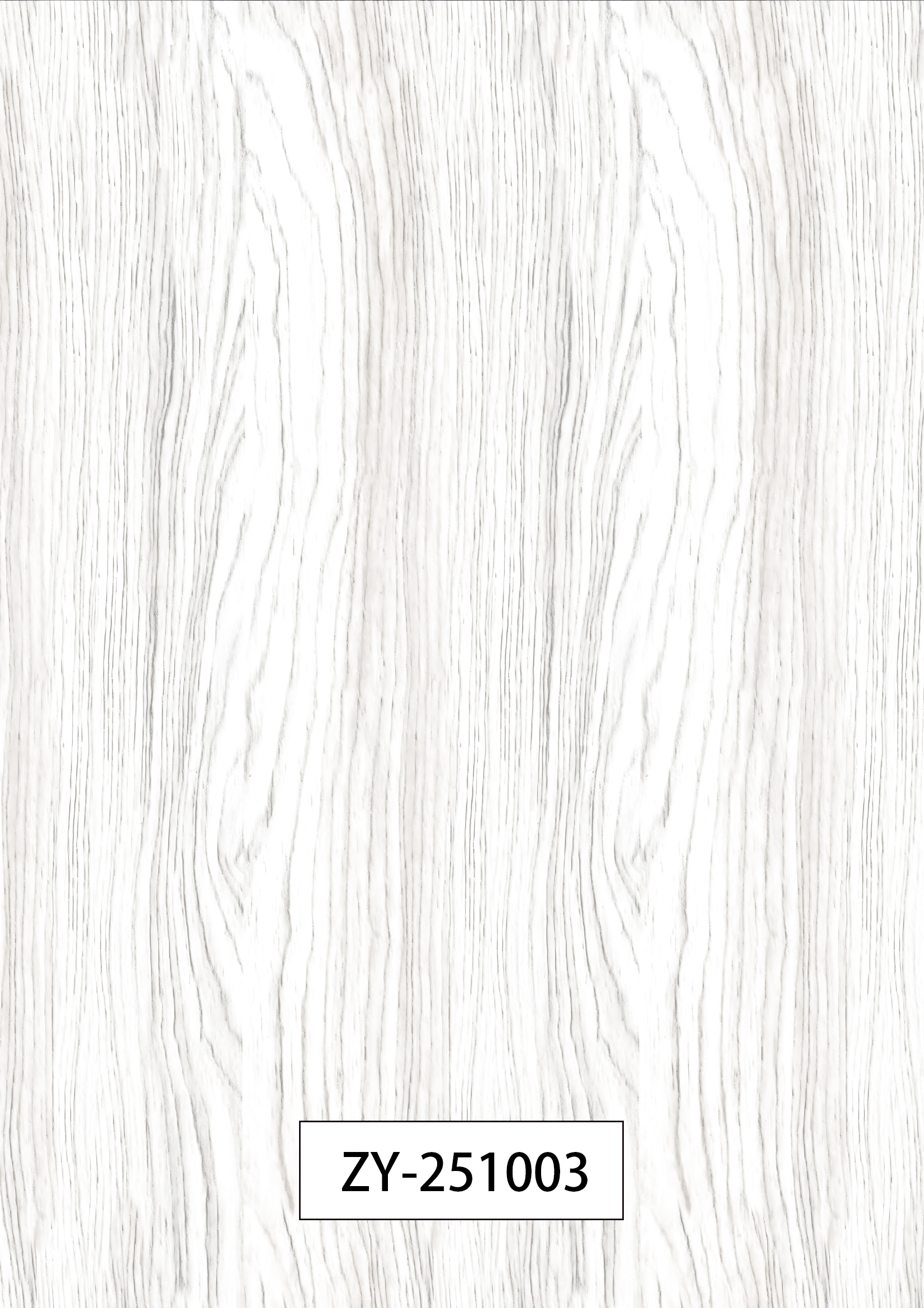 ZY-251003