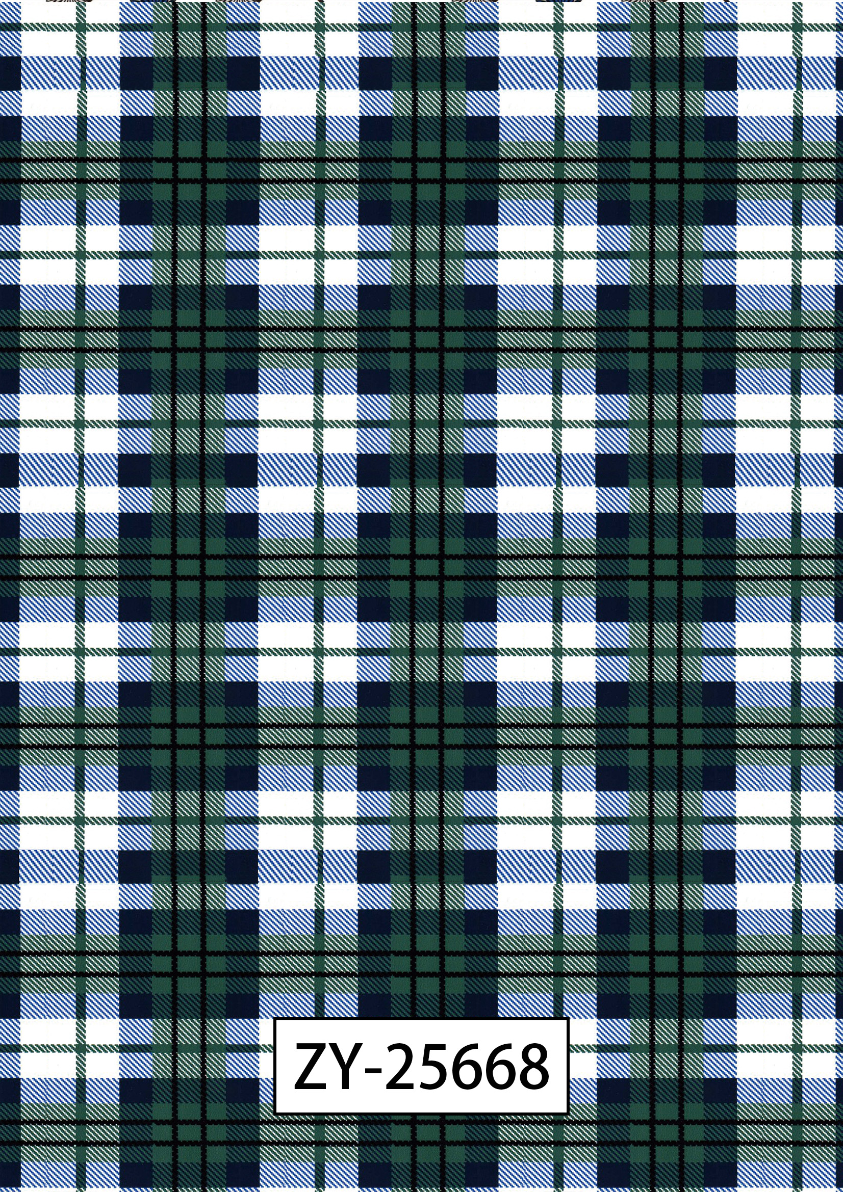 ZY-25668