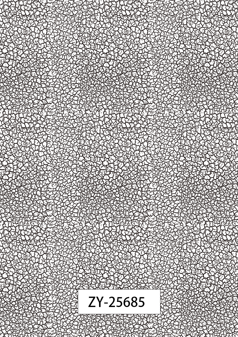 ZY-25685